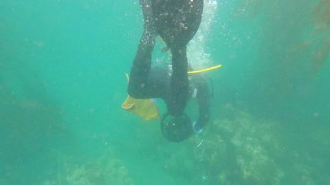 Scuba diving