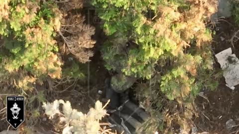 Ukrainian Drones Shredding Russian Infantry