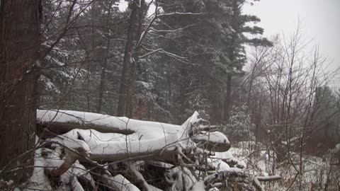 First Snow on the Saco