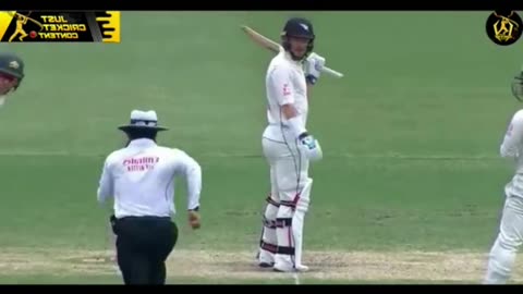 Best Funny Cricket Moments