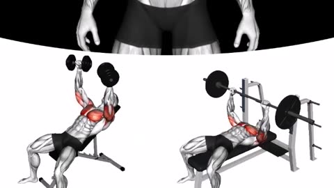 Gym Workout Exercises For Biceps Triceps Chest And Back