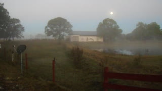 Cold and foggy here at Venus Ranch this morning.