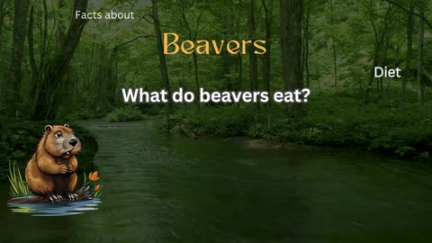 Beaver Fact 4 - What do beavers eat?