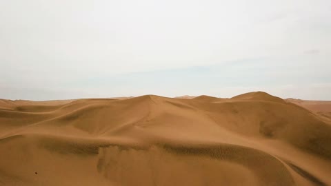 Beautiful desert with golden sand