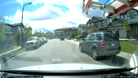 Child Chases Bubble into the Street