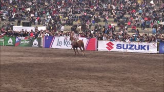 Semana de la Chilenidad Escuadra Ecuestre Palmas de Peñaflor