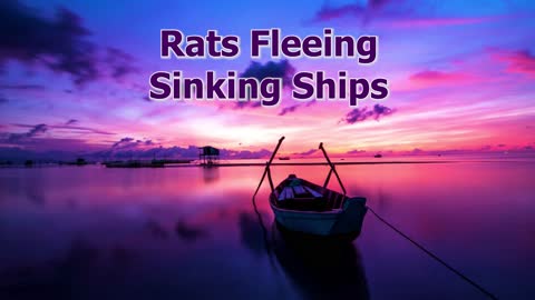 Livestream: Rats Fleeing Sinking Ships