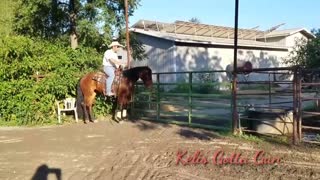 Kelis Gotta Gun - 2018 Wild Spayed Filly Futurity