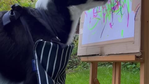 Border Collie Paints Abstract Landscape