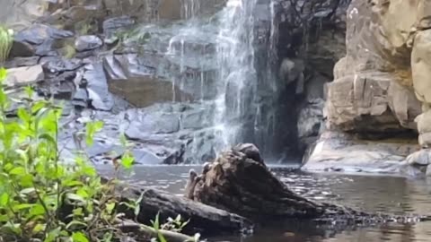 Can it be done in 29 seconds ? … Journey to reach this beautiful waterfall 🫣😂Sheoak Falls !!!! - A Tranquil Escape into Nature