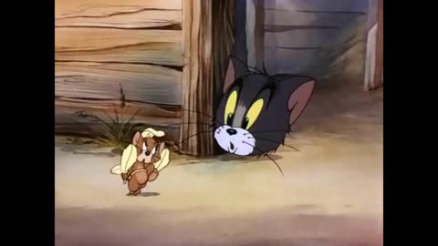 Tom and Jerry 8st episode