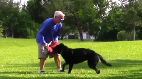 How To Make Dog Become Fully Aggressive With Few Simple Tricks