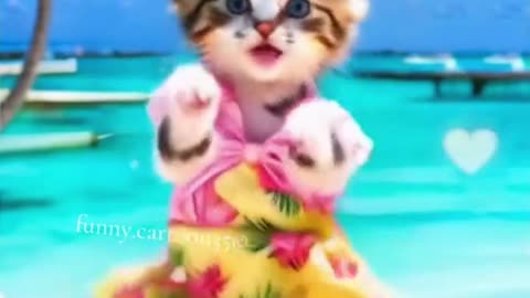 Cute Cats Dancing Videos #catfuuny #shorts