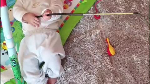 compilation | baby animals 79 | cute animals 79 | kids #shorts