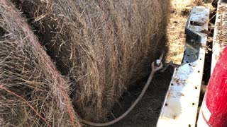 Red-Neck Farming - Moving hay without a tractor - 95 Chevy Plow Truck