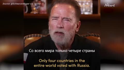 Arnold Schwarzenegger’s candid message to Russians_ ‘I have to tell the truth’