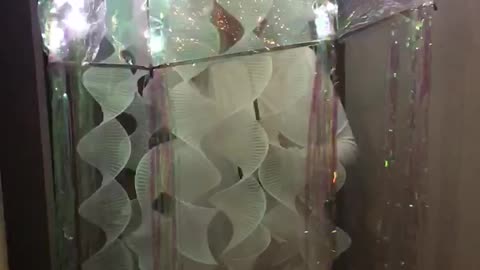 Fantastic Jellyfish Costume