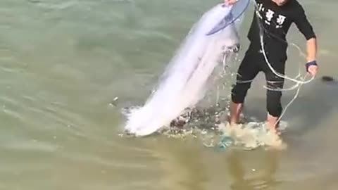 Amazing Asian cast net fishing