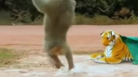 Fake Tiger Prank Monkey so funny video.😂😂