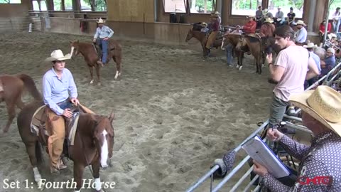 Horse training video 🐎🐎