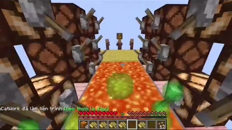 Minecraft video