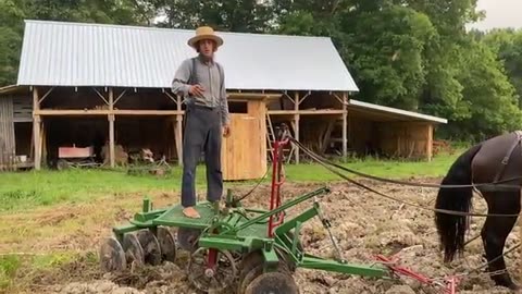 "Horse Drawn Farming: Getting Ready to Plant Strawberries & Turnips 🍓 with Titus Morris!" 2Aug2024