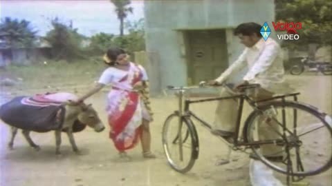 Telugu Movie Comedy Scenes - Raja Babu Hilarious Comedy Scene