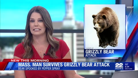 Girl, 3, mauled by black bear as she slept in family's tent at Yellowstone as officials reveal possible reasons female cub attacked