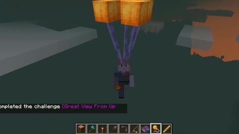 Minecraft vanilla skin version 1.17.1_Shorts_46