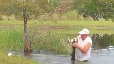 The man saves the dog from the crocodile🐊