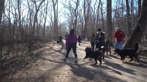 PVBMDC Great Falls Dog Walk