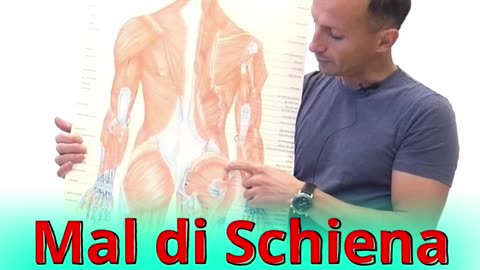 Mal di Schiena: Perché ho Male da Seduto? Scoprilo!