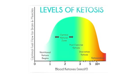 Dr. Lodi: This is What Happens During a Water Fast