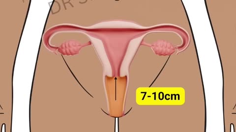 Do you know your Vagina? 👀 #short | Where is the vagina?