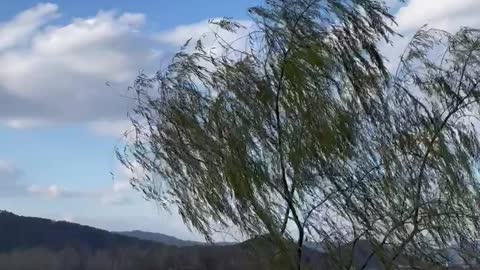 Willow River Natural Landscape