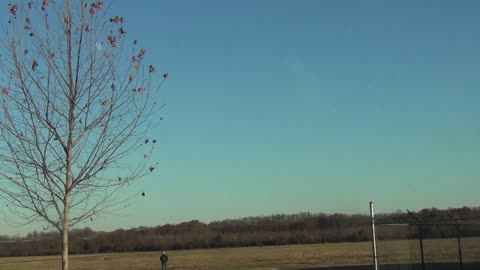 Crazy Curious Dog Chases Model Airplane