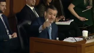 "Wild Eyed Loon" - Ted Cruz RIPS Biden Judicial Nominee