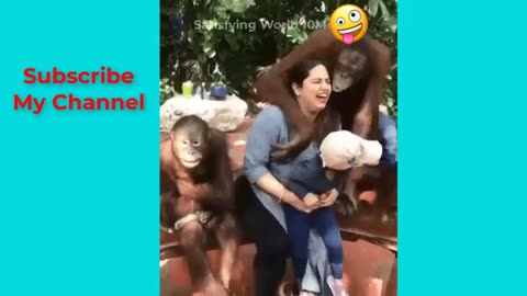 Funny Monkey 38