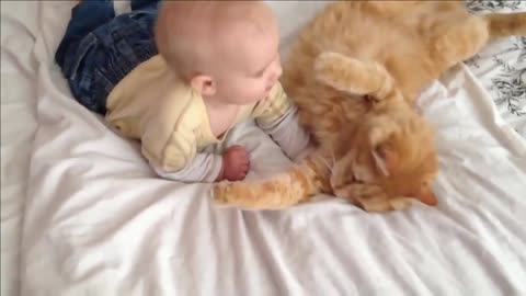 Baby and cat in love