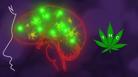 How Too Much Weed Can Make Your Brain Go Haywire