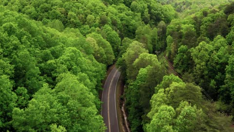 The Ultimate Beauty of Nature and Green