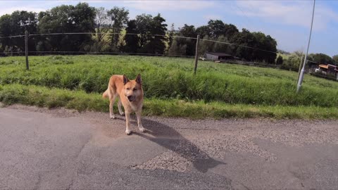 www.TRIKERS.cz - Holky TRIKERKY na výletě Kolínsko, Pardubicko, Kutnohorsko