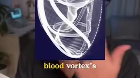 Your Heart is a Vortex