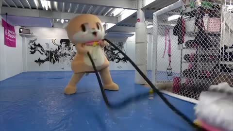 Chiitan funny mascot fails