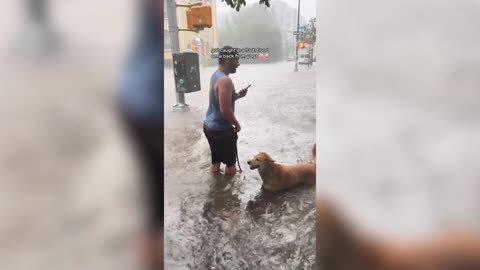 Shocking videos show New York City underwater