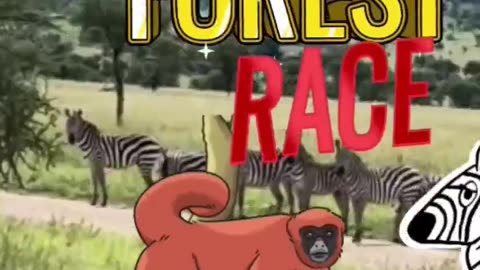 Forest 🌲 Race 💨Zebra 🦓 vs Baboon 🐒 #fastest #shorts895