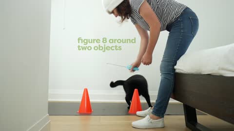 30 tricks to teach your pet