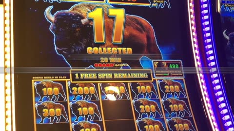 GREAT LOW BET BUFFALO!!! #slots #casino #slotmachine #slotwin #jackpot #bonusfeature #casinogame