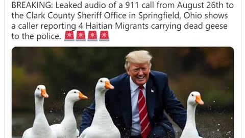 LISTEN: Leaked Audio of a 911 Call Reveals Springfield, Ohio Resident Reporting Group of Haitians Carrying Geese. Looks like ABC Hacks Lied to the the American public after false fact checking. Just shocking to see in a live debate saying this did not hap