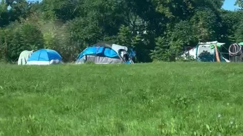 Tents are just popping up on the side of the road now in Montreal 🇨🇦